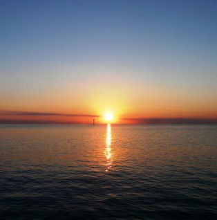 gallery images