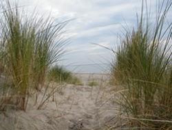 strandcamping zeeland