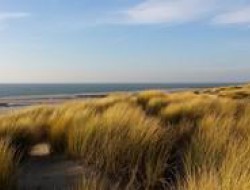 Camping am Strand Zeeland